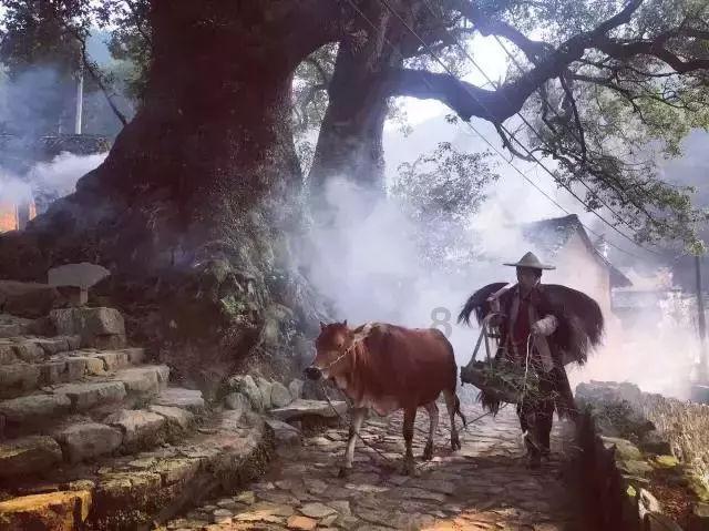 超能战区