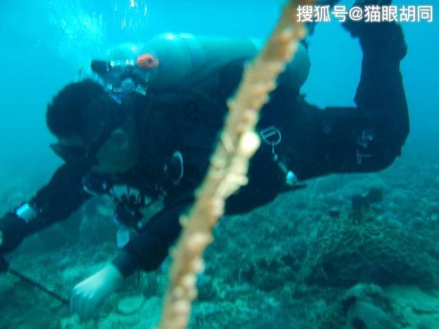 逃离午夜神坛