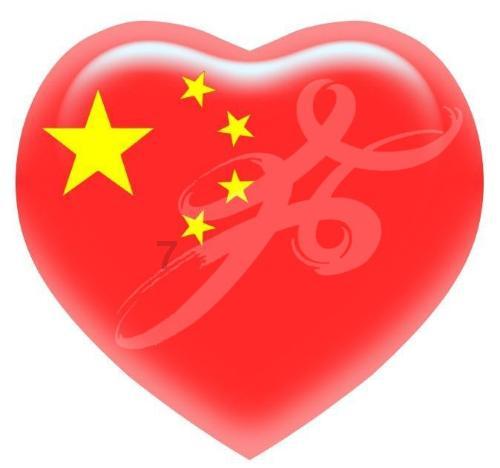 解救金刚鹦鹉
