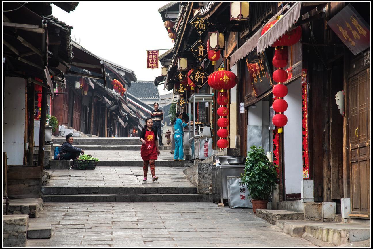 救援卡通小象
